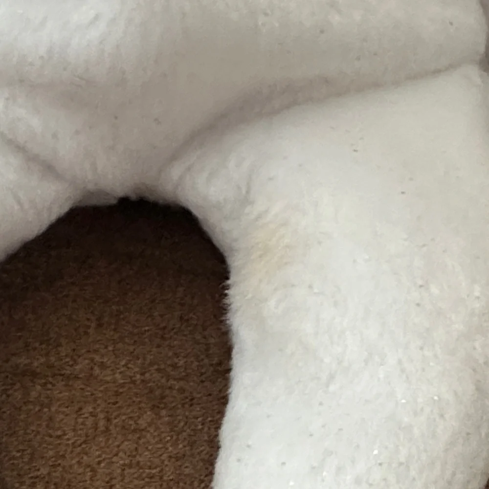 Ty Halo II White and Gold Angel Bear Plush - Picture 5 of 9